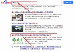 重慶虎普環(huán)?？萍加邢薰竞捅竟竞灱sSEO推廣合同