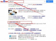 上海園林（集團(tuán)）有限公司和我公司簽訂SEO推廣項目