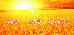 山東省梁山縣徐*生物工程有限公司網(wǎng)站建設(shè)新一代自助建站、智能建站系統(tǒng)