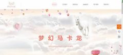 手機網(wǎng)站建設HTML5+CSS3技術(shù)的移動網(wǎng)絡環(huán)境中的網(wǎng)頁制作與開發(fā)技術(shù)