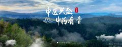 普洱淞*醫(yī)藥集團(tuán)有限公司網(wǎng)站建設(shè)新一代自助建站、智能建站系統(tǒng)