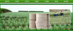 廣西玉林市長(zhǎng)*劍麻有限公司企業(yè)網(wǎng)站建設(shè)新一代自助建站、智能建站系統(tǒng)